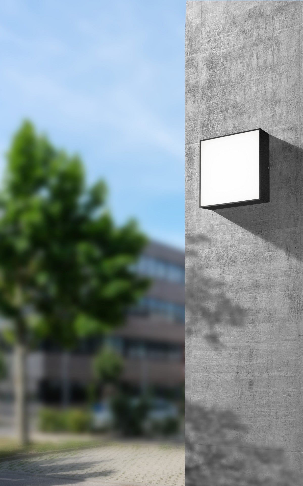 CMD 9024 Aussenwandleuchte Deckenleuchte schlankes Design anthrazit